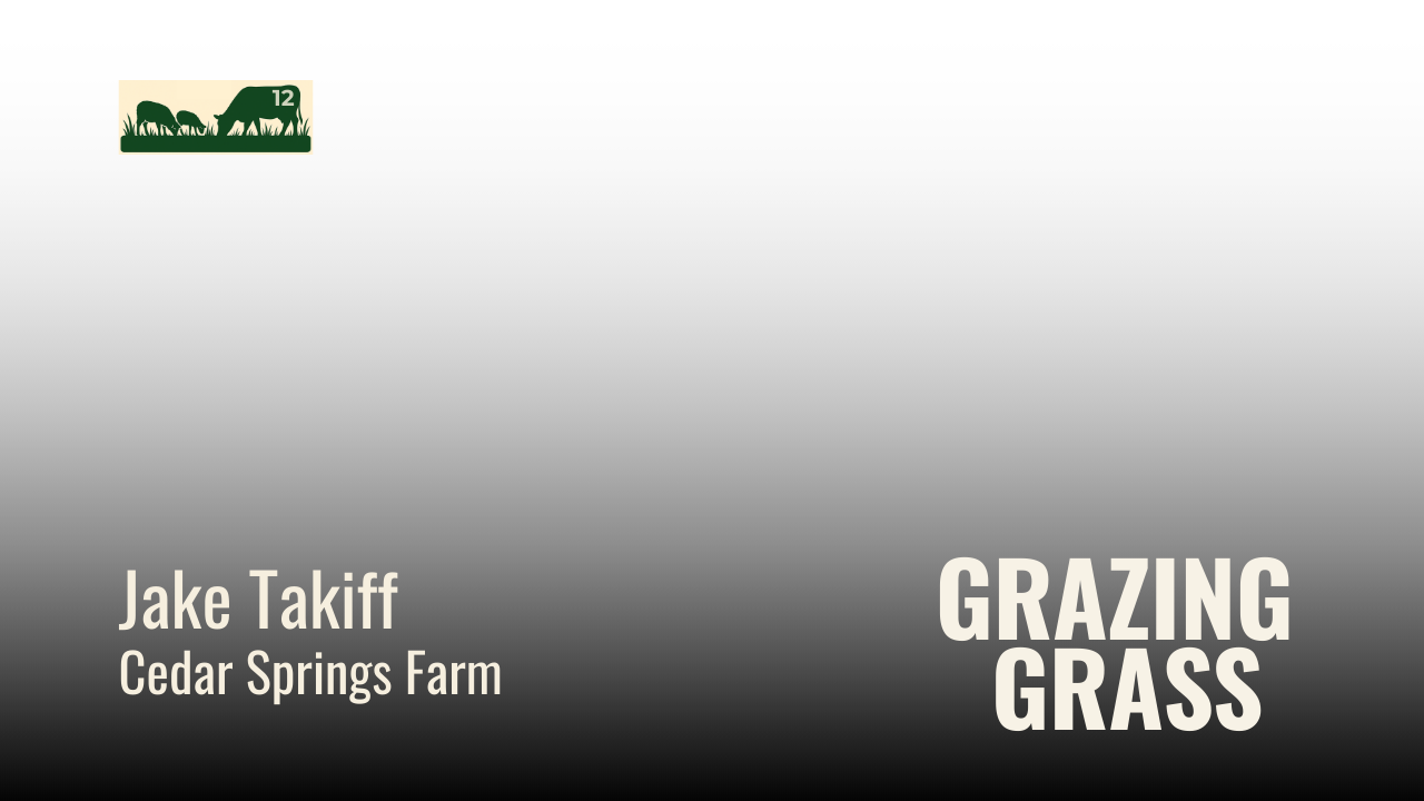 Episode 12 – Famous Four Questions