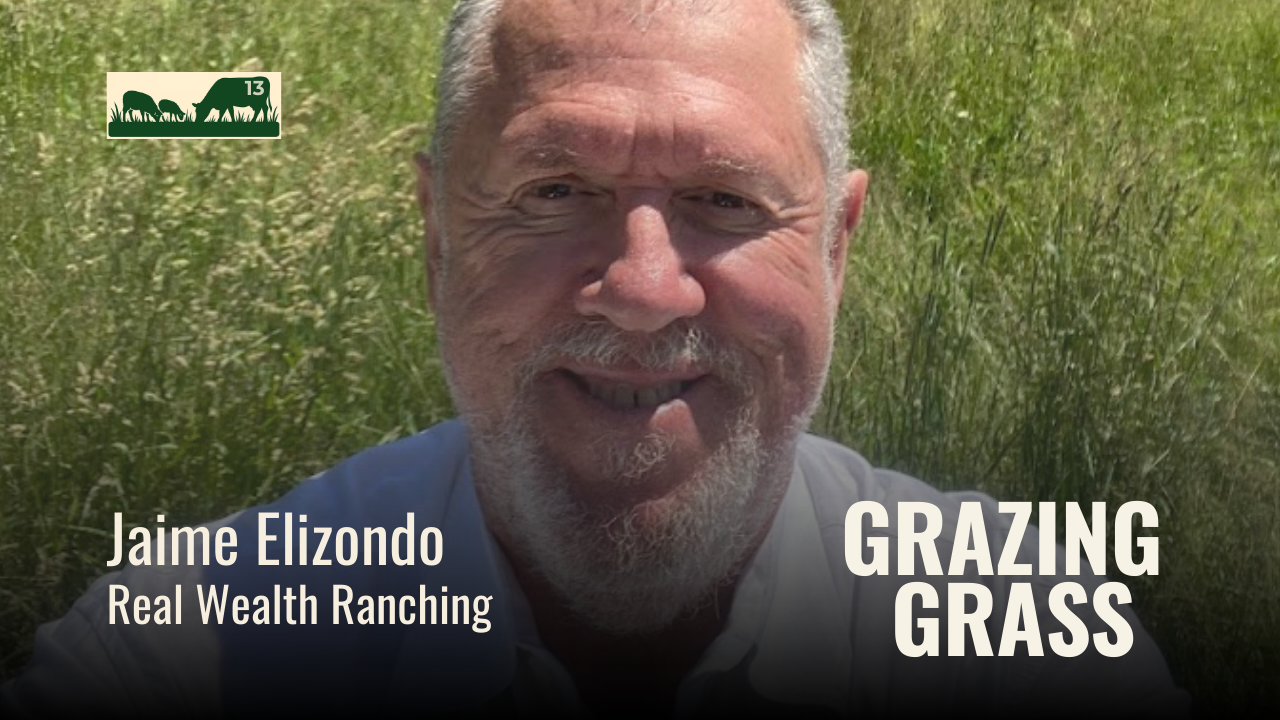 Episode 13 – Famous Four Questions