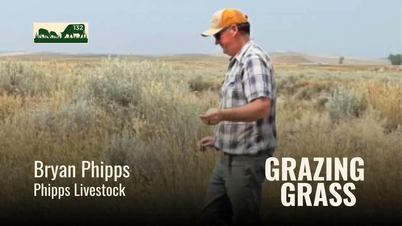 Bryan Phipps of Phipps Livestock