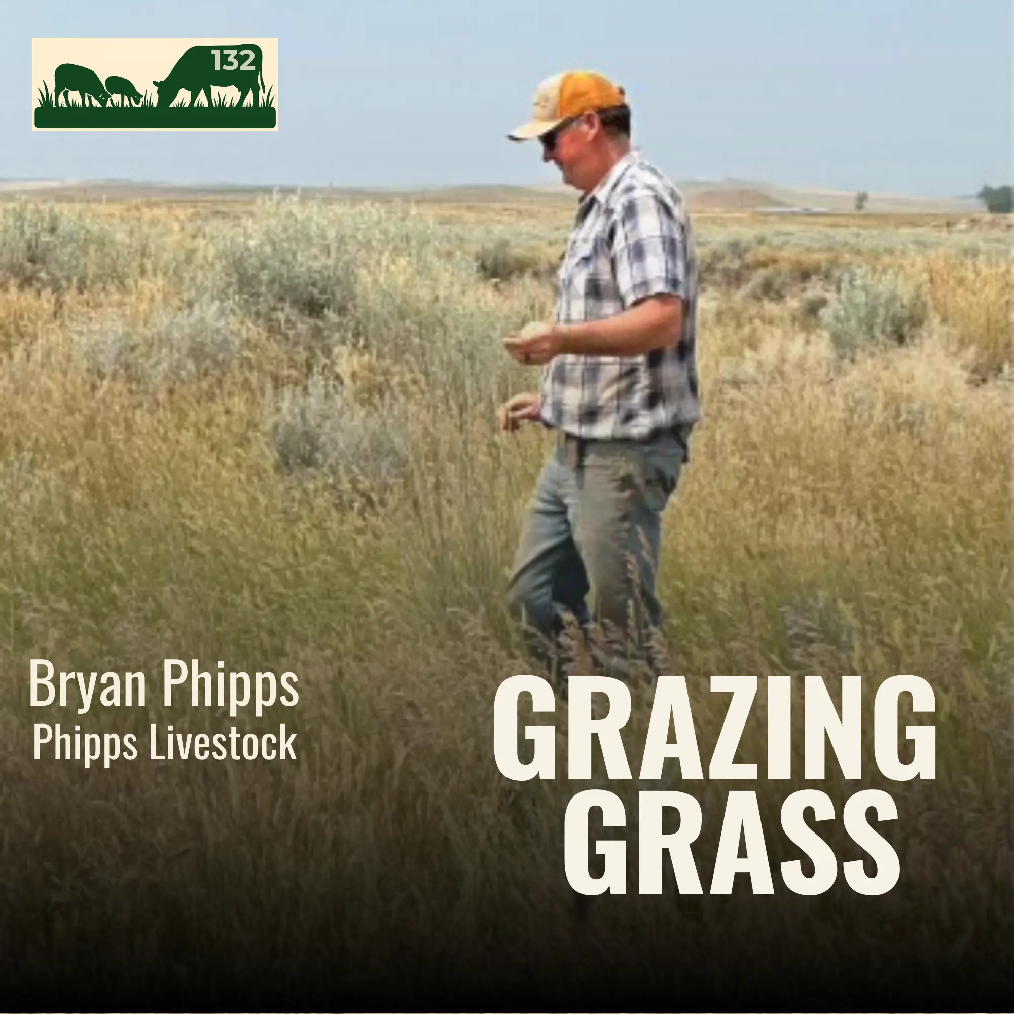 Bryan Phipps of Phipps Livestock
