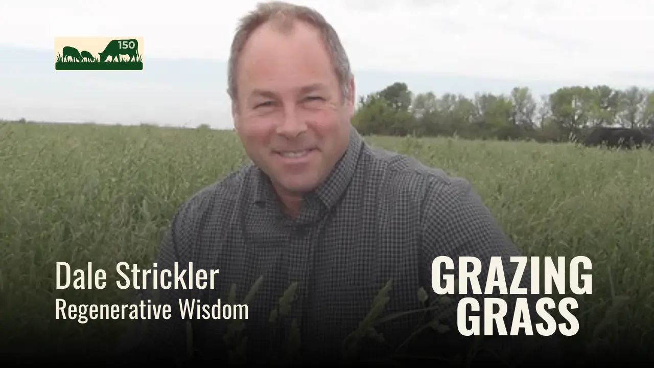 Dale Strickler of Regenerative Wisdom