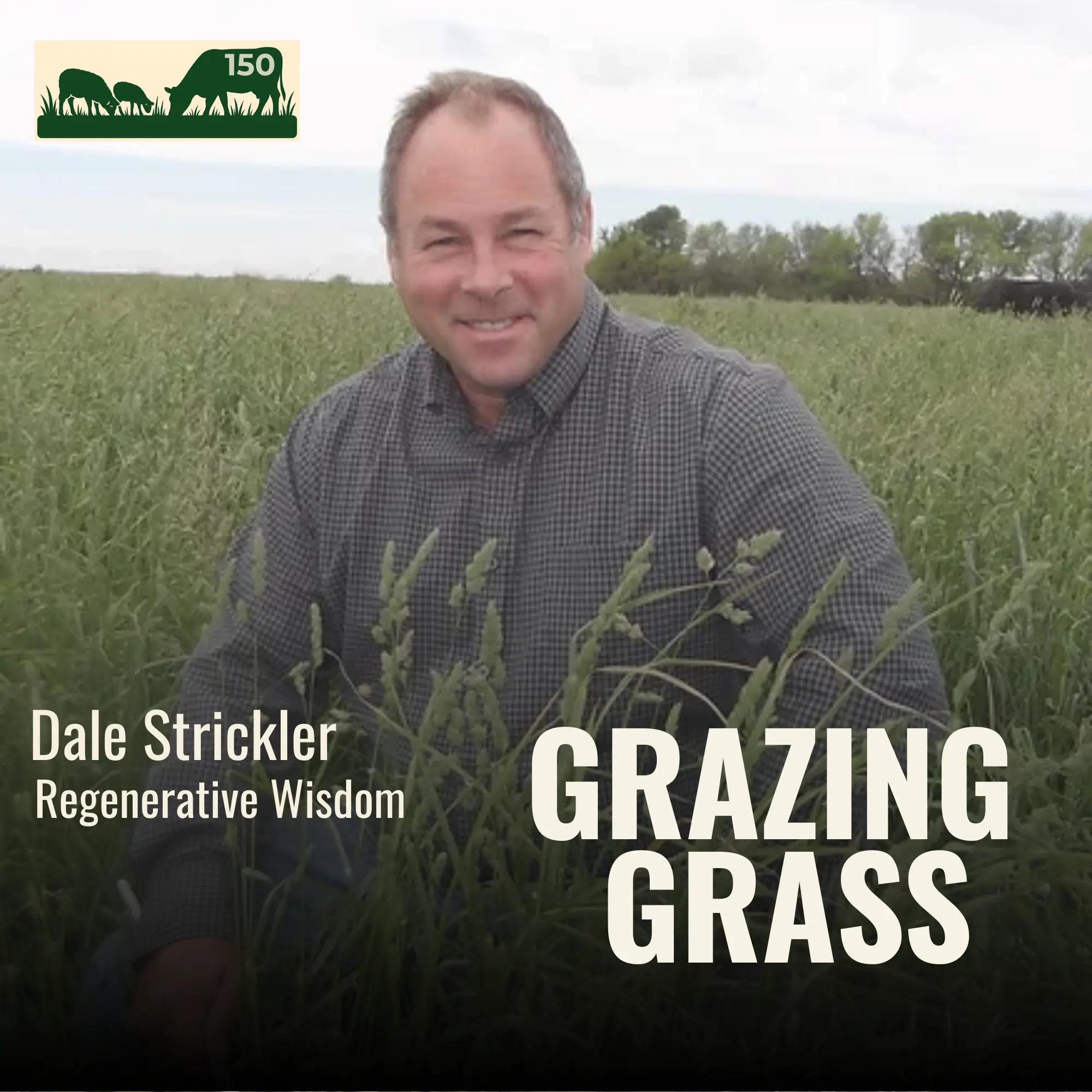 Dale Strickler of Regenerative Wisdom