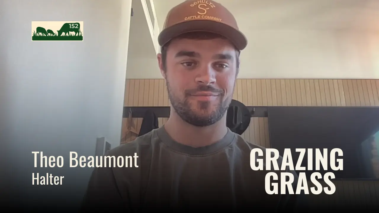 Theo Beaumont of Halter