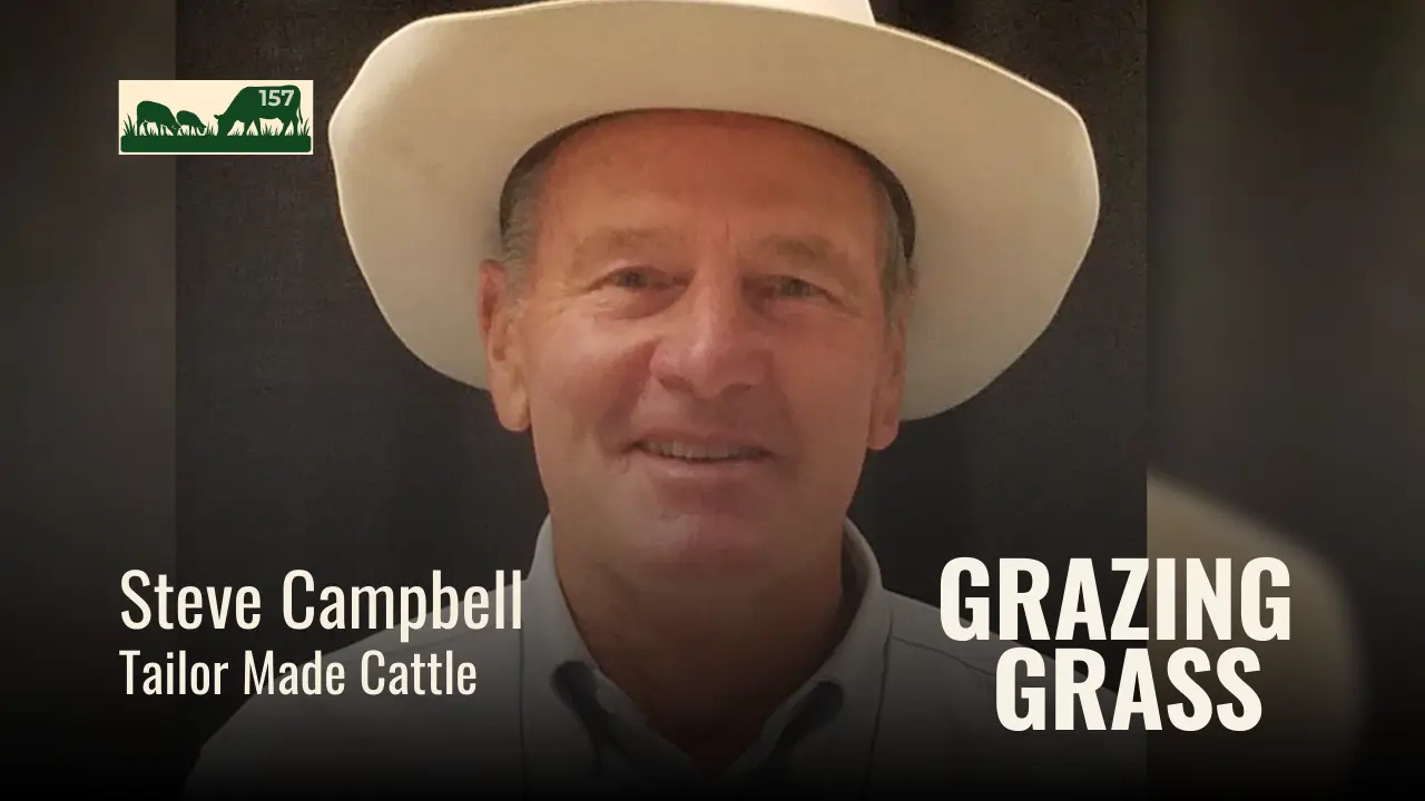 Steve Campbell of Tailor Made Cattle