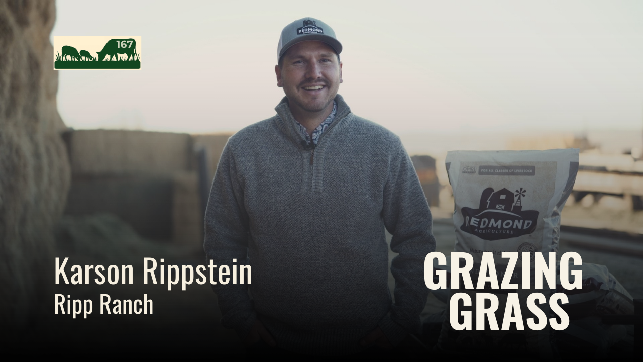167. Ranching with Family and Utilizing Public Grazing Lands with Karson Rippstein