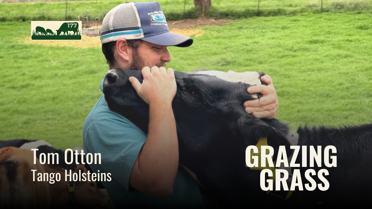 177. How Tango Holsteins Embraces Regenerative Dairy Without the Buzzwords with Tom Otton