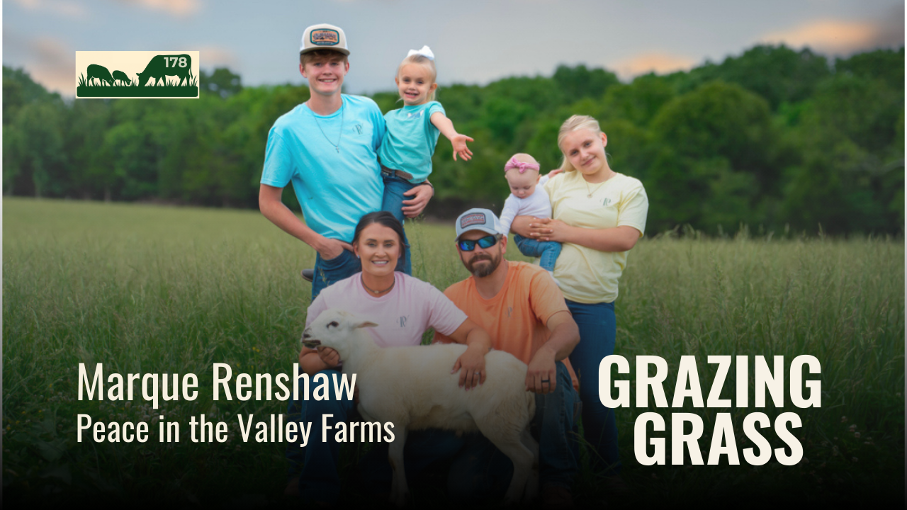 178. Grazing Lessons from the Ground Up with Marque Renshaw