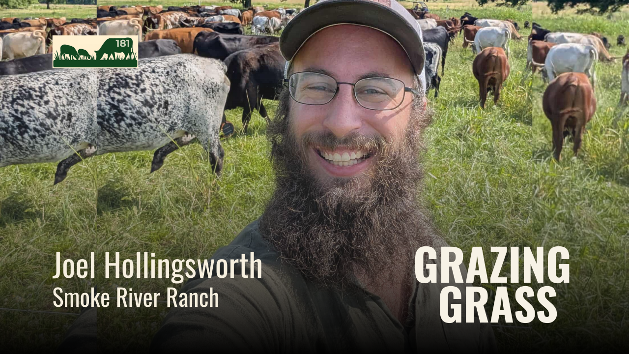 181. Scaling Regenerative Ranching with Ultra High Density Grazing with Joel Hollingsworth