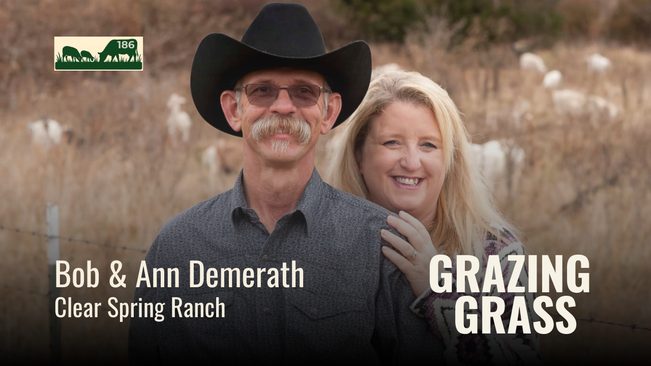 186. A Recipe, Not a Prescription: Grazing Insights from the Ozarks with Bob and Ann Demerath