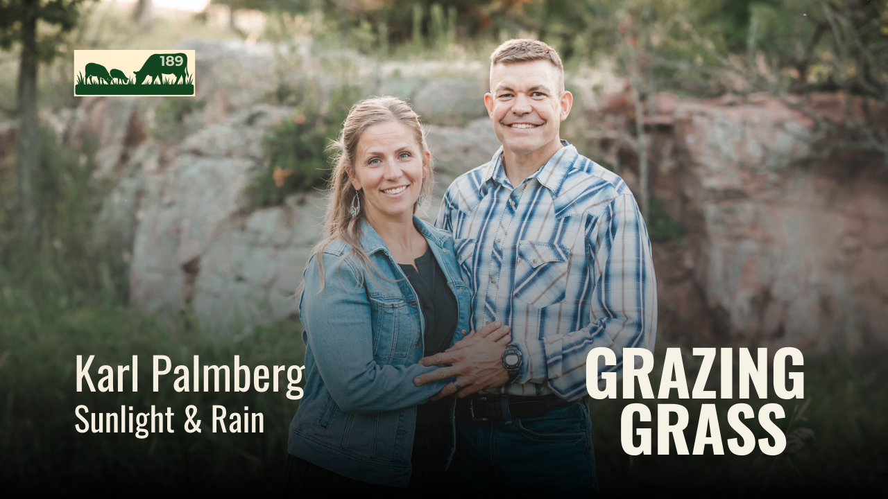 189. Building Soil and Beef Quality with Virtual Fencing with Karl Palmberg