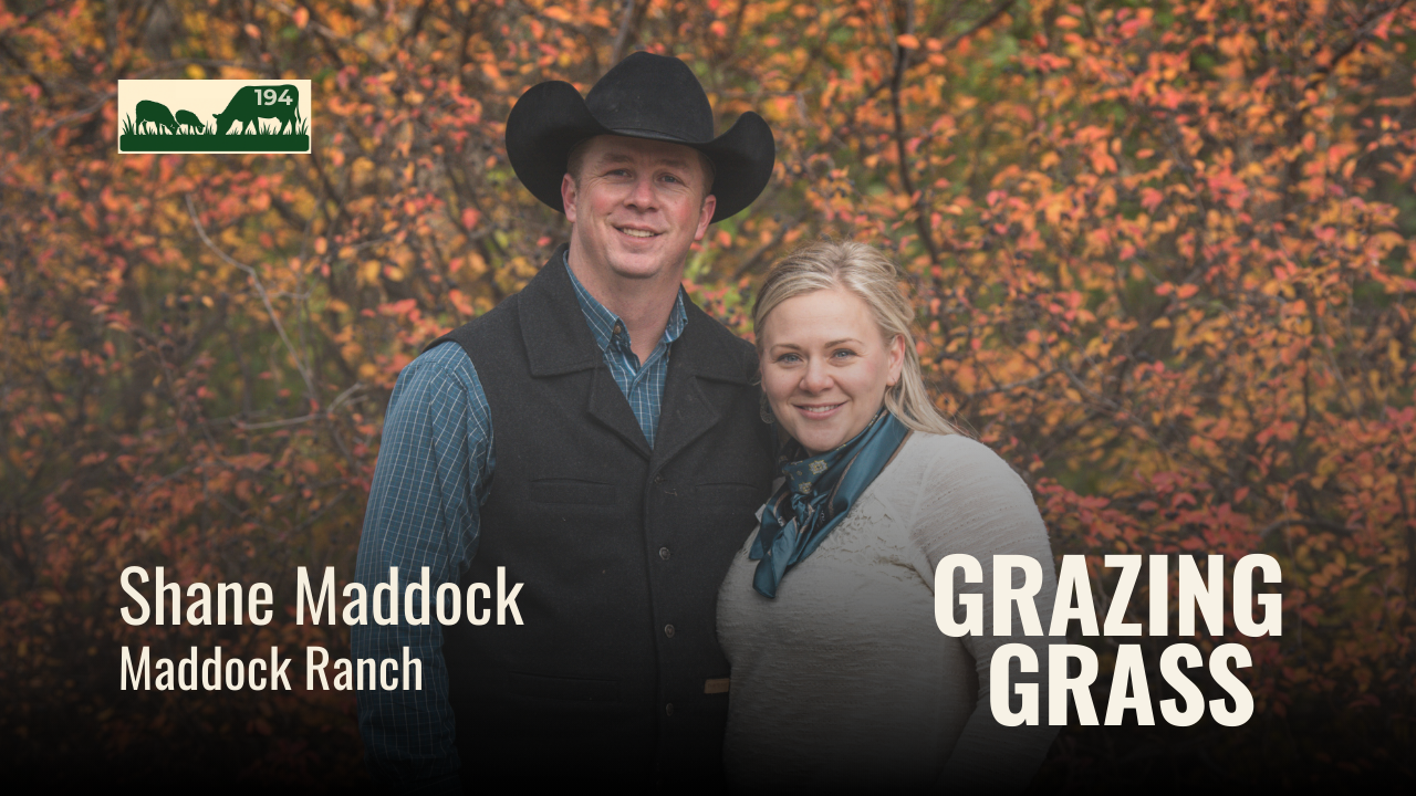 194. Grazing Smarter in North Dakota with Fourth Generation Rancher Shane Maddock
