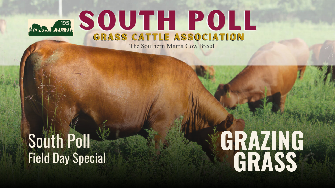 195. South Poll Field Day Special: Real Ranchers, Real Results