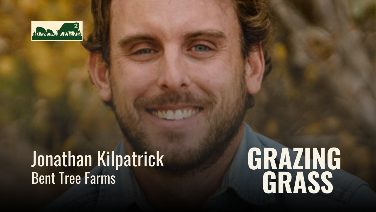 Episode 2 – Famous Four Questions