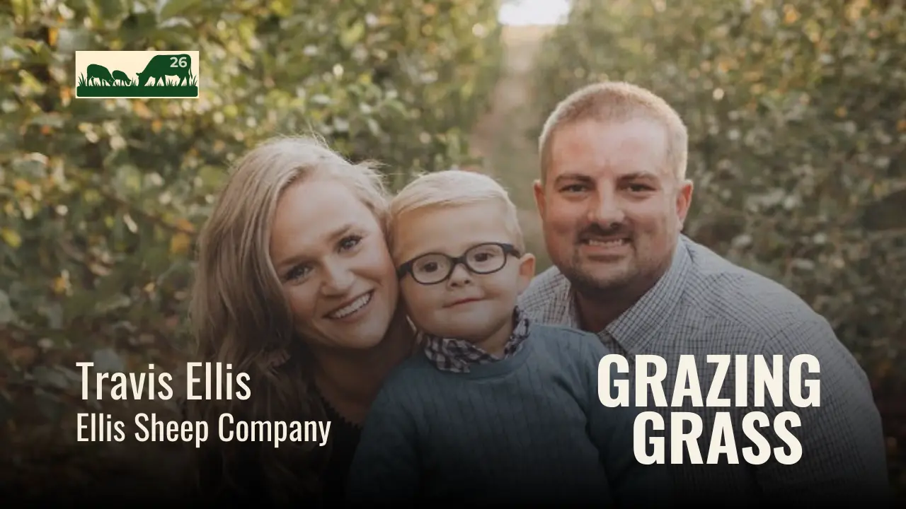 Travis Ellis of Ellis Sheep Company