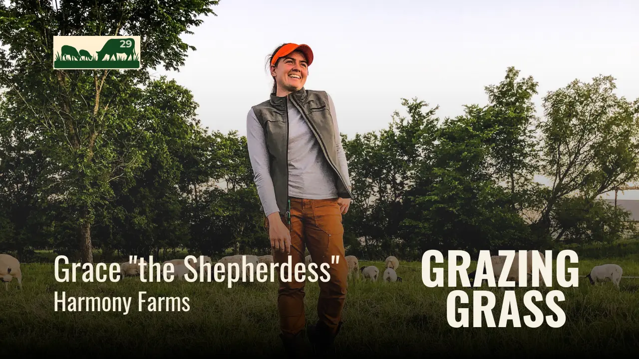 Grace "the Shepherdess" of Harmony Farms