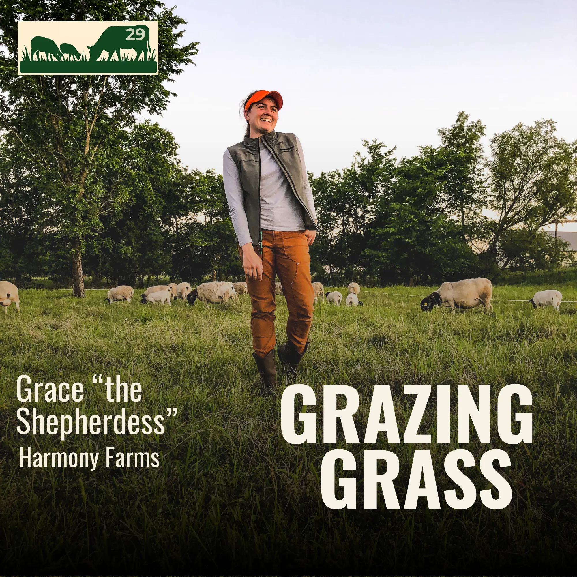 Grace "the Shepherdess" of Harmony Farms