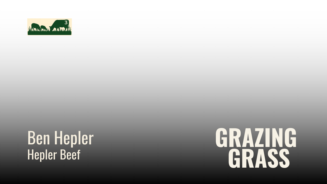 Episode 3 – Famous Four Questions