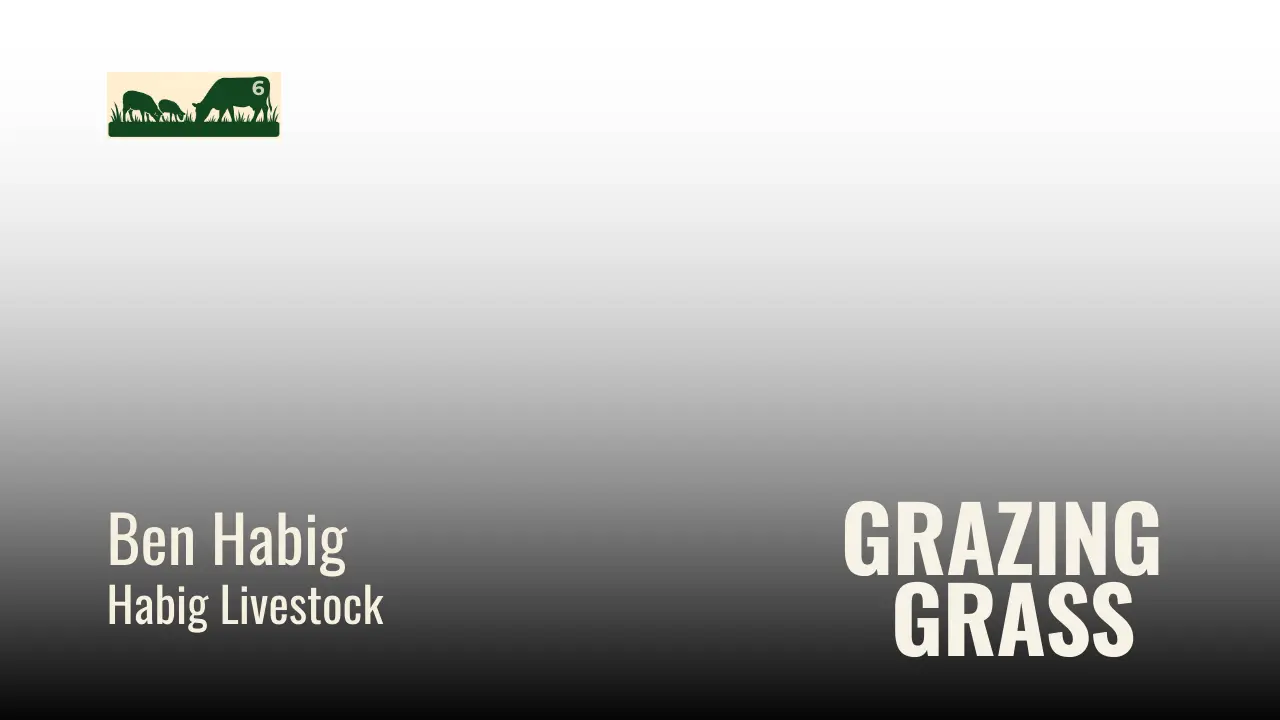 Ben Habig of Habig Livestock