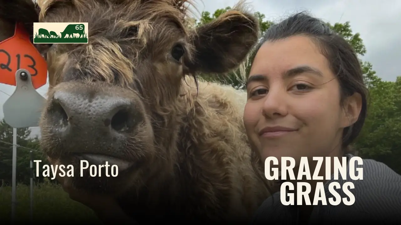 Taysa Porto