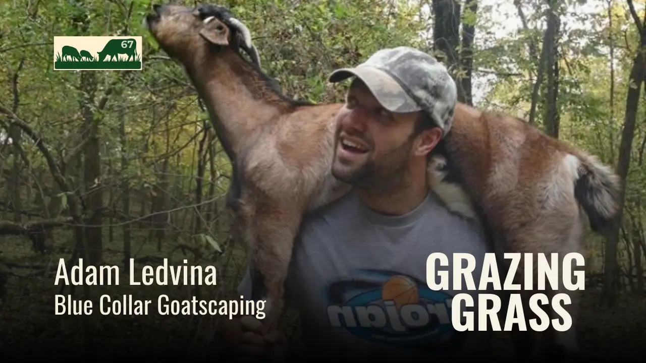 Adam Ledvina of Blue Collar Goatscaping