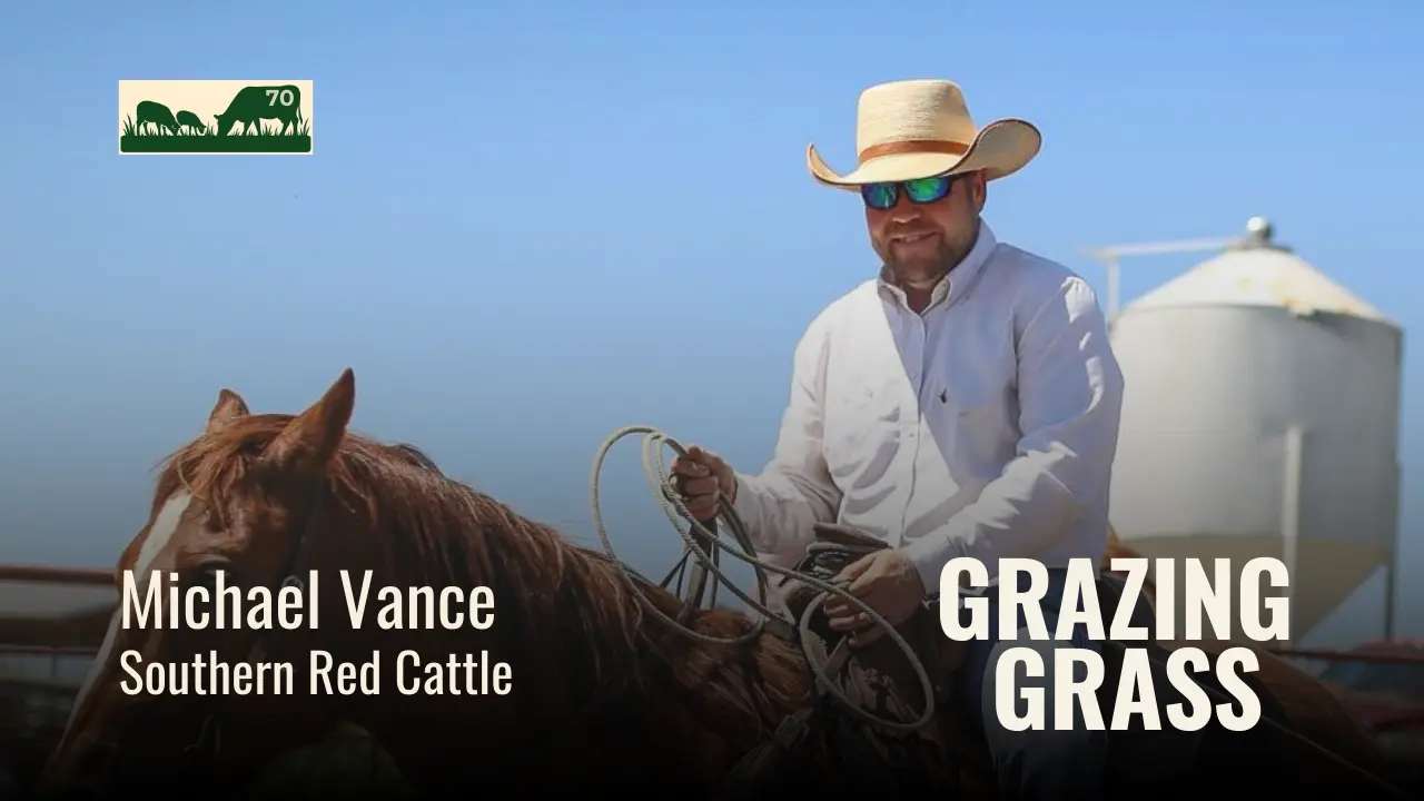 Michael Vance of Southern Red Cattle