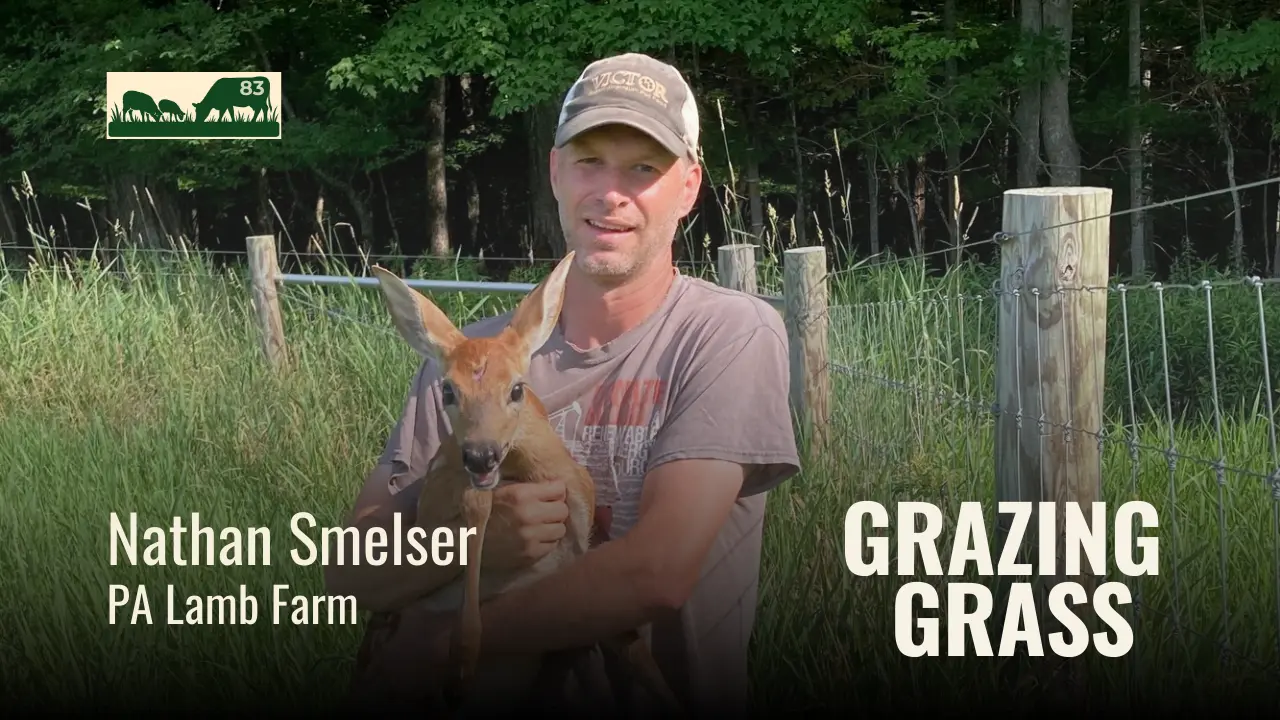 Nathan Smelser of PA Lamb Farm