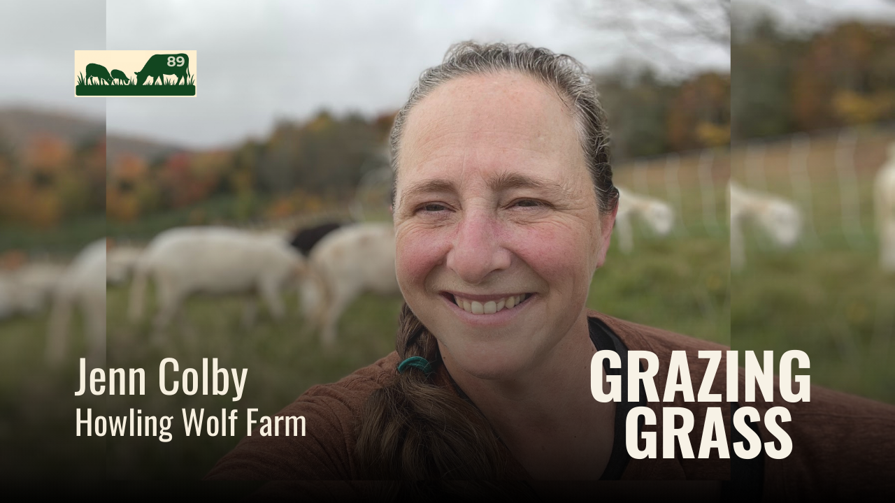 e89. Grazing Sheep for Land Improvement with Jenn Colby