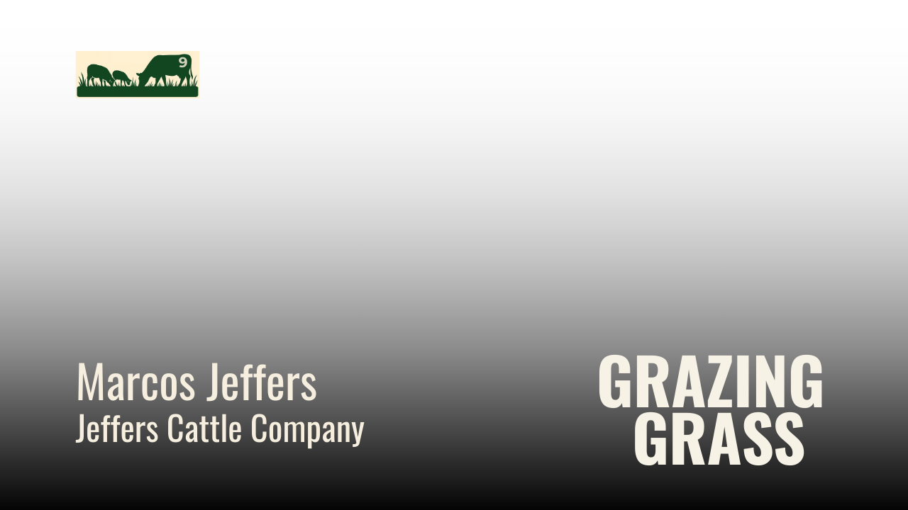 Episode 9 – Famous Four Questions