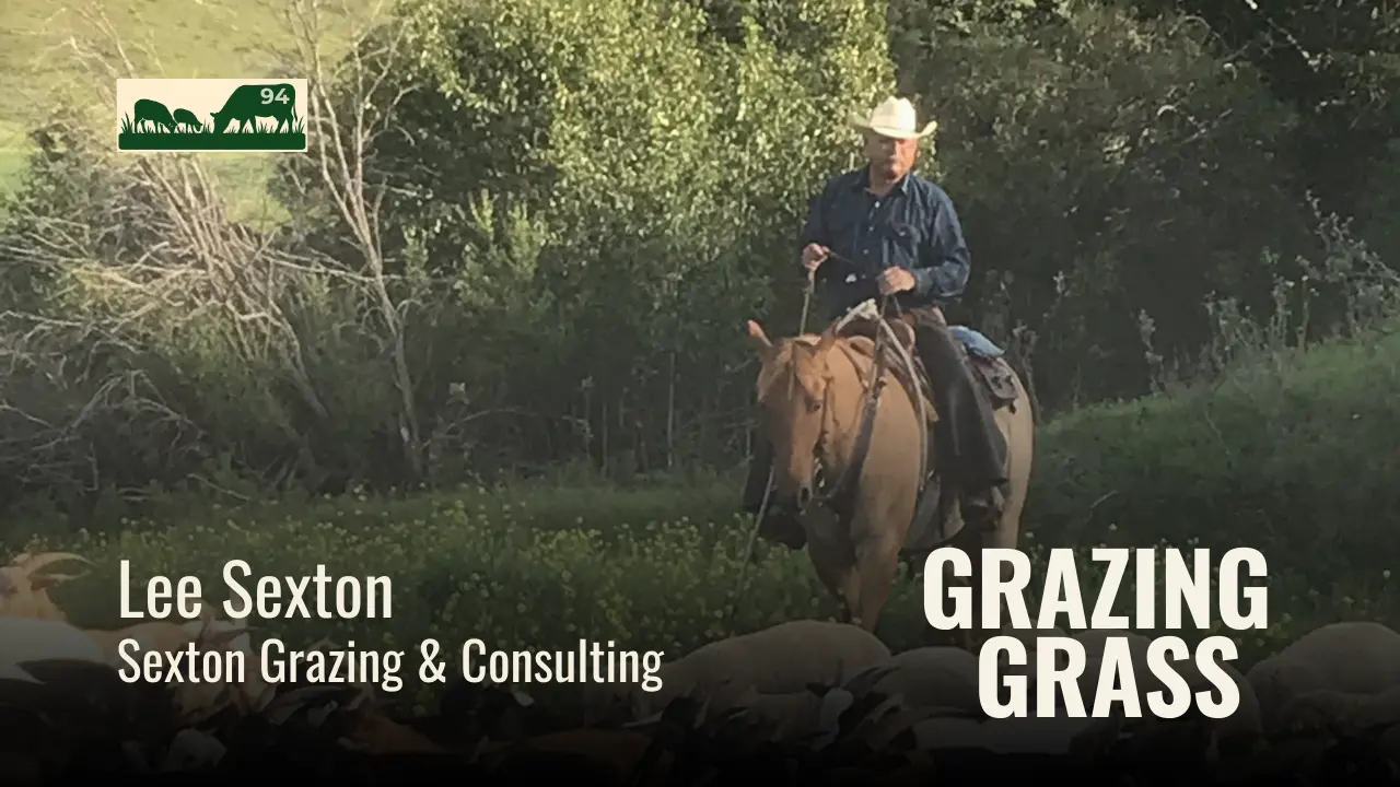 Lee Sexton of Sexton Grazing and Consulting