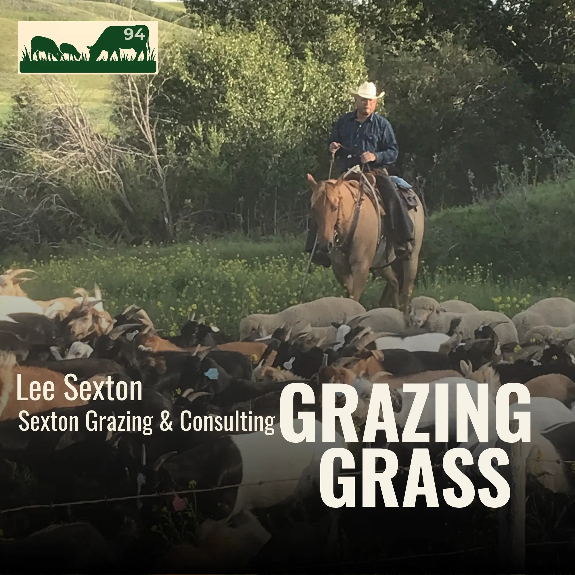 Lee Sexton of Sexton Grazing and Consulting