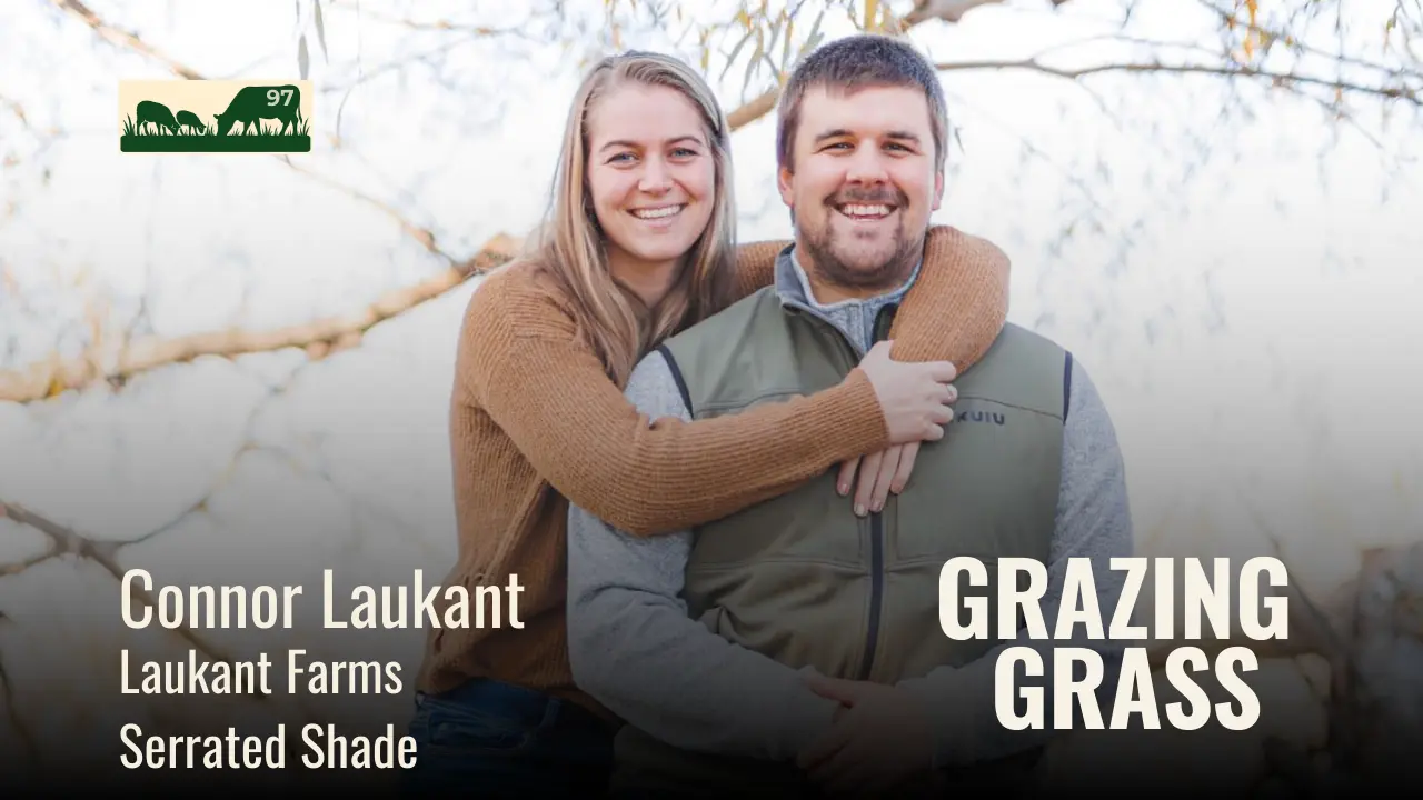 Connor Laukant of Serrated Shade LLC